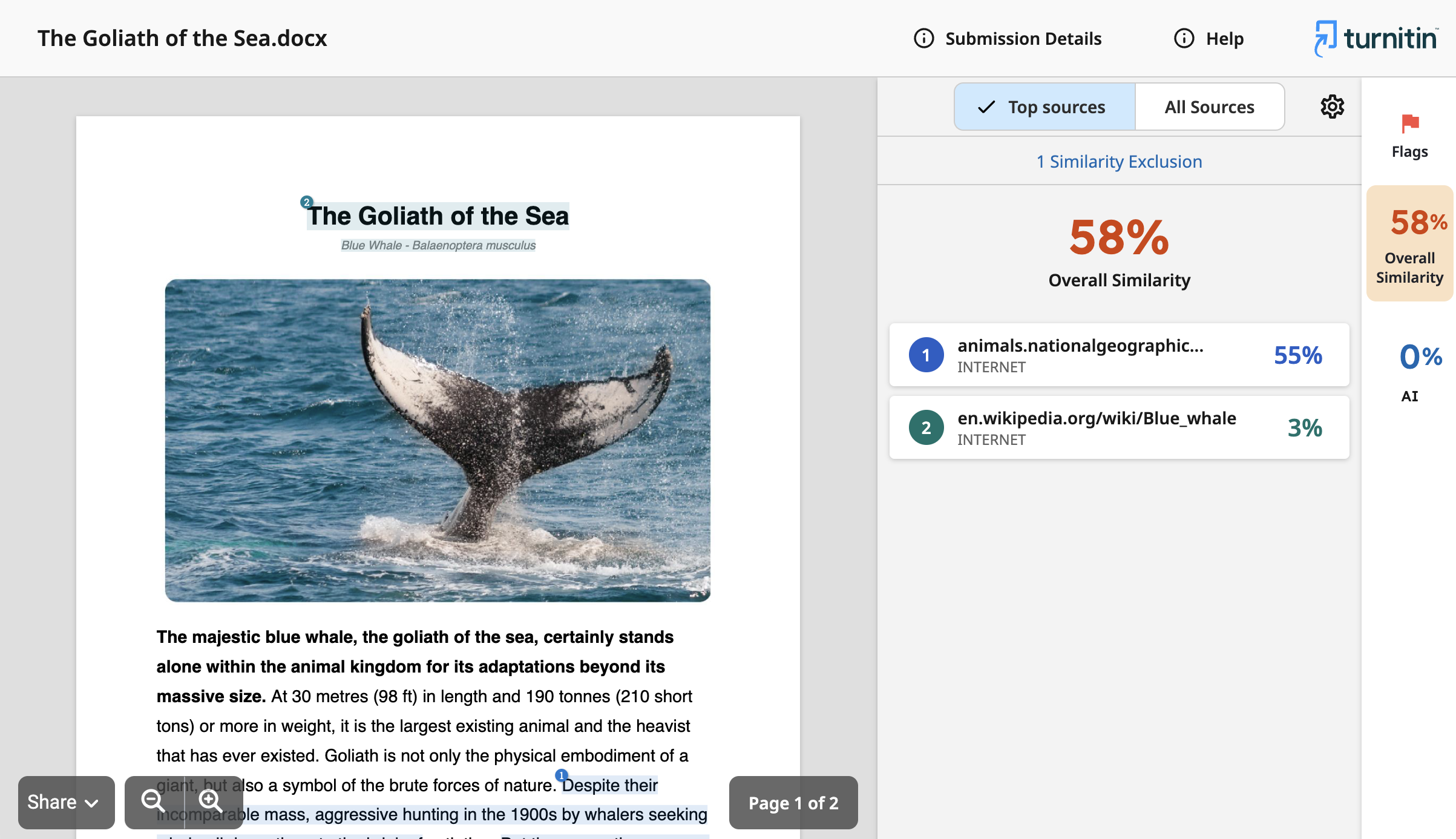 Screenshot of Similarity Classic Similarity Report viewer