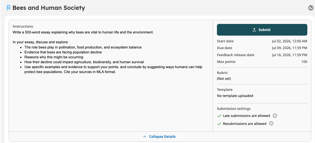 The Submit button in a New Standard Assignment
